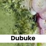 dubuke