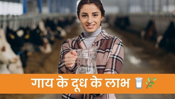 Benefits of Cow Milk: गाय के दूध के लाभ 🥛🌿