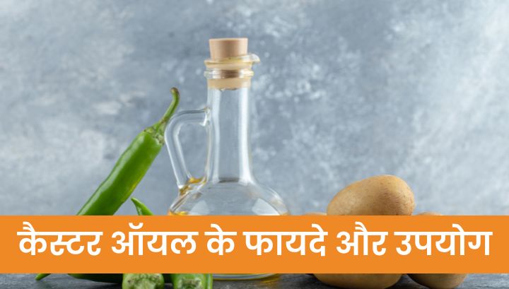 कैस्टर ऑयल (Castor Oil) के 10 फायदे और उपयोग: त्वचा, बाल और स्वास्थ्य के लिए एक प्राकृतिक समाधान 🪔