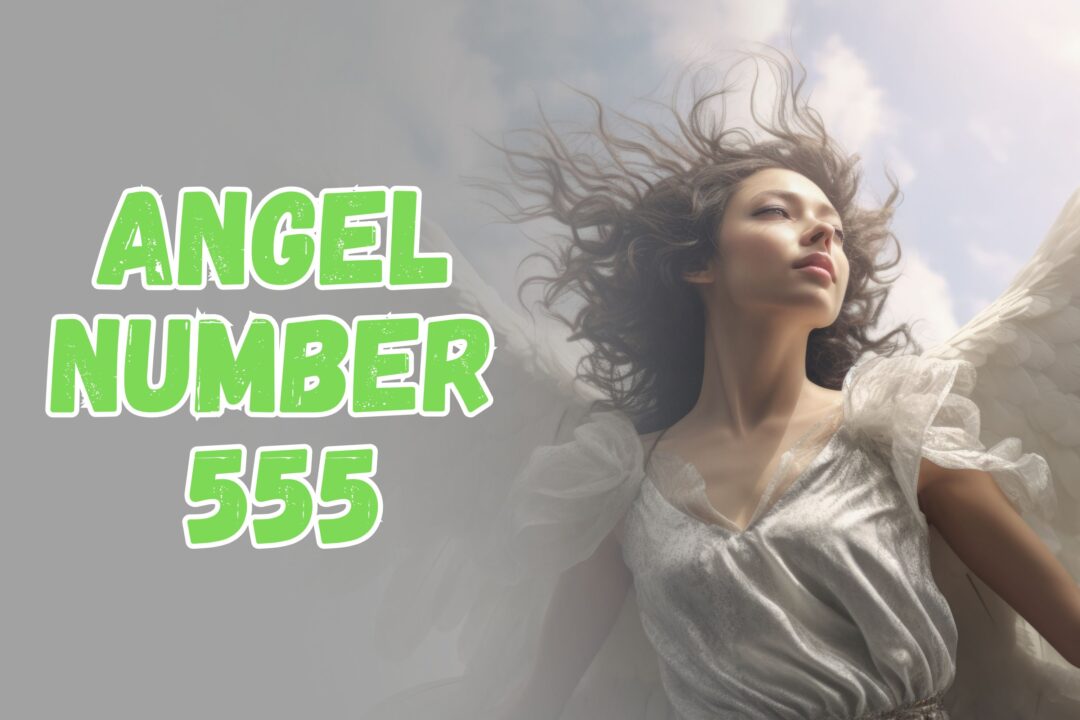 Angel Number 555 Meaning in Hindi: अगर बार-बार दिख रहा है 555 नंबर, तो जानें इसका पूरा अर्थ