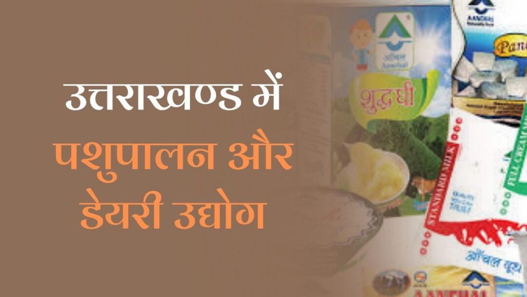 Dairy Industry in Uttarakhand in Hindi: जानें उत्तराखण्ड में पशुपालन और डेयरी उद्योग के बारें में 1 Dairy Industry in Uttarakhand in Hindi: जानें उत्तराखण्ड में पशुपालन और डेयरी उद्योग के बारें में