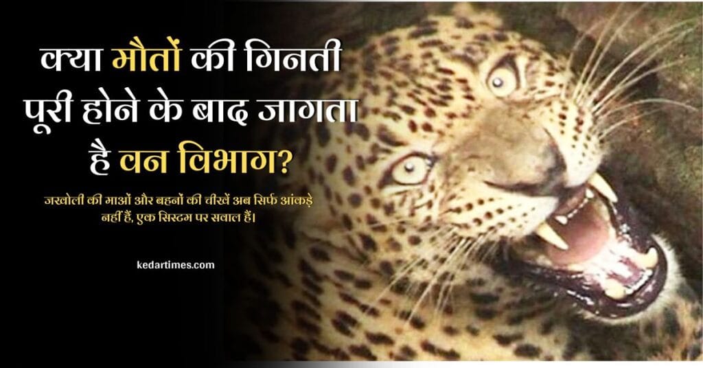 क्या मौतों की गिनती पूरी होने के बाद जागता है वन विभाग? 1 क्या मौतों की गिनती पूरी होने के बाद जागता है वन विभाग?