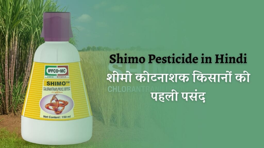 Shimo Pesticide in Hindi: शीमो कीटनाशक किसानों की पहली पसंद 1 Shimo Pesticide in Hindi: शीमो कीटनाशक किसानों की पहली पसंद