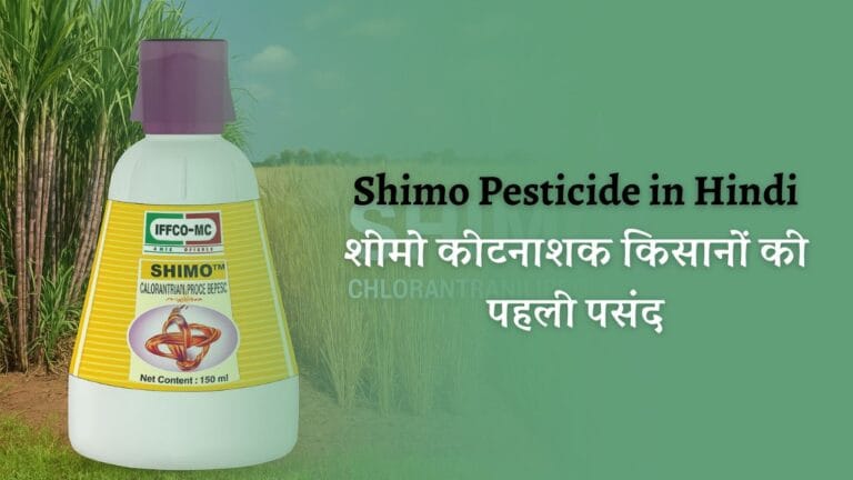 Shimo Pesticide in Hindi: शीमो कीटनाशक किसानों की पहली पसंद