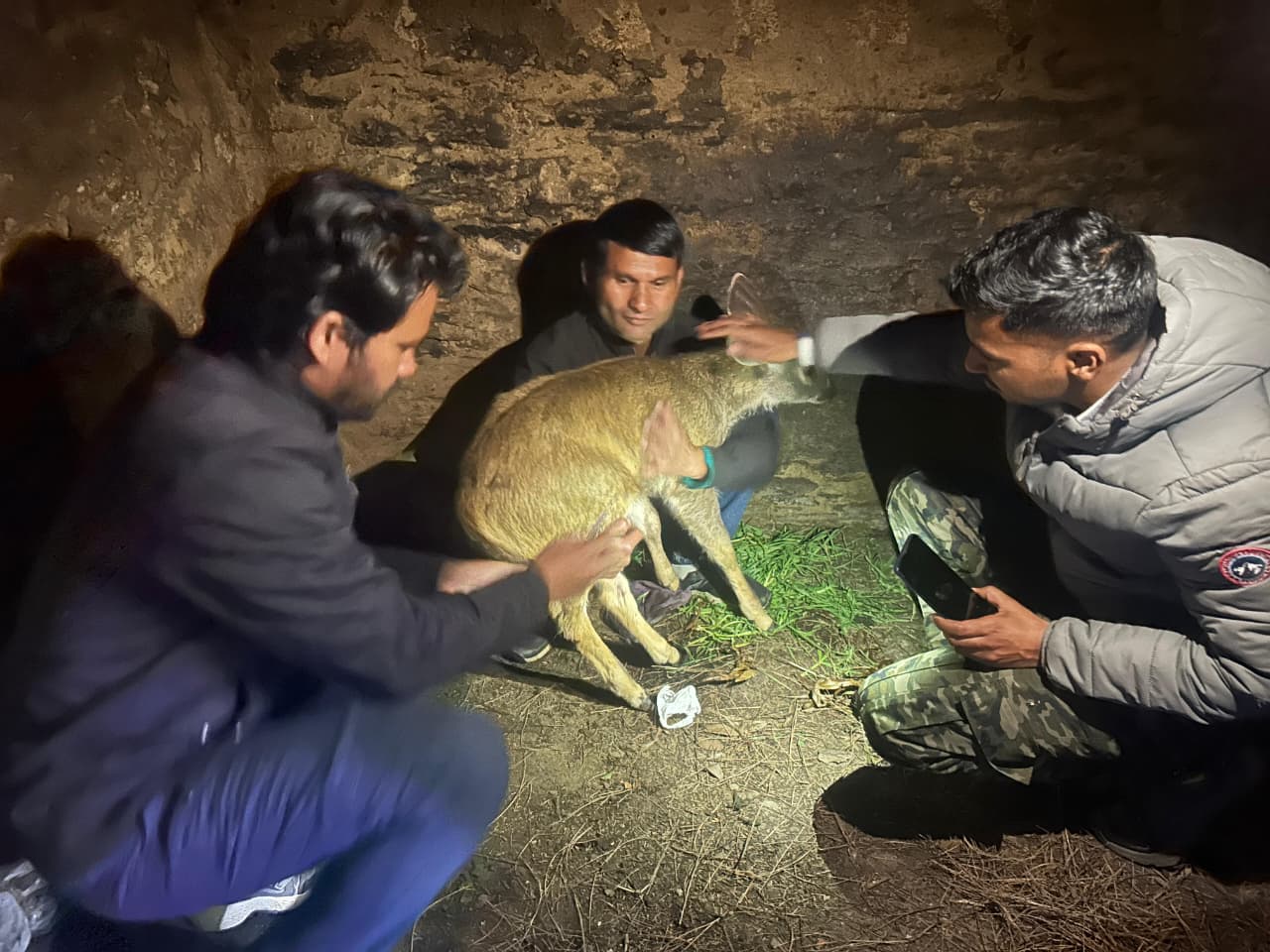 थराली: ग्रामीणों ने बचाई बारहसिंगा के बच्चे की जान, वन विभाग ने सुरक्षित क्षेत्र में छोड़ा