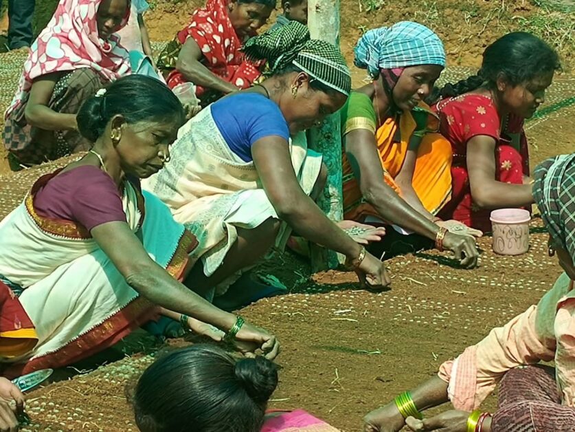 अरकु की वादियों से दुनिया के प्यालों तक