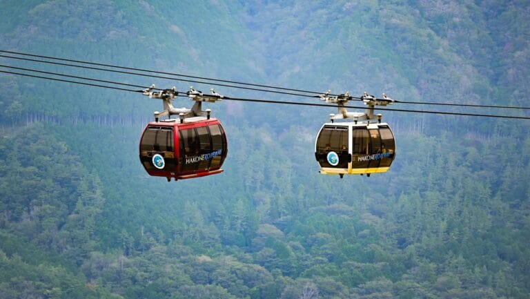 Kedarnath Ropeway: रोजगार के मुद्दे पर 19 जुलाई को गुप्तकाशी में महापंचायत, स्थानीय लोगों की बढ़ी चिंता