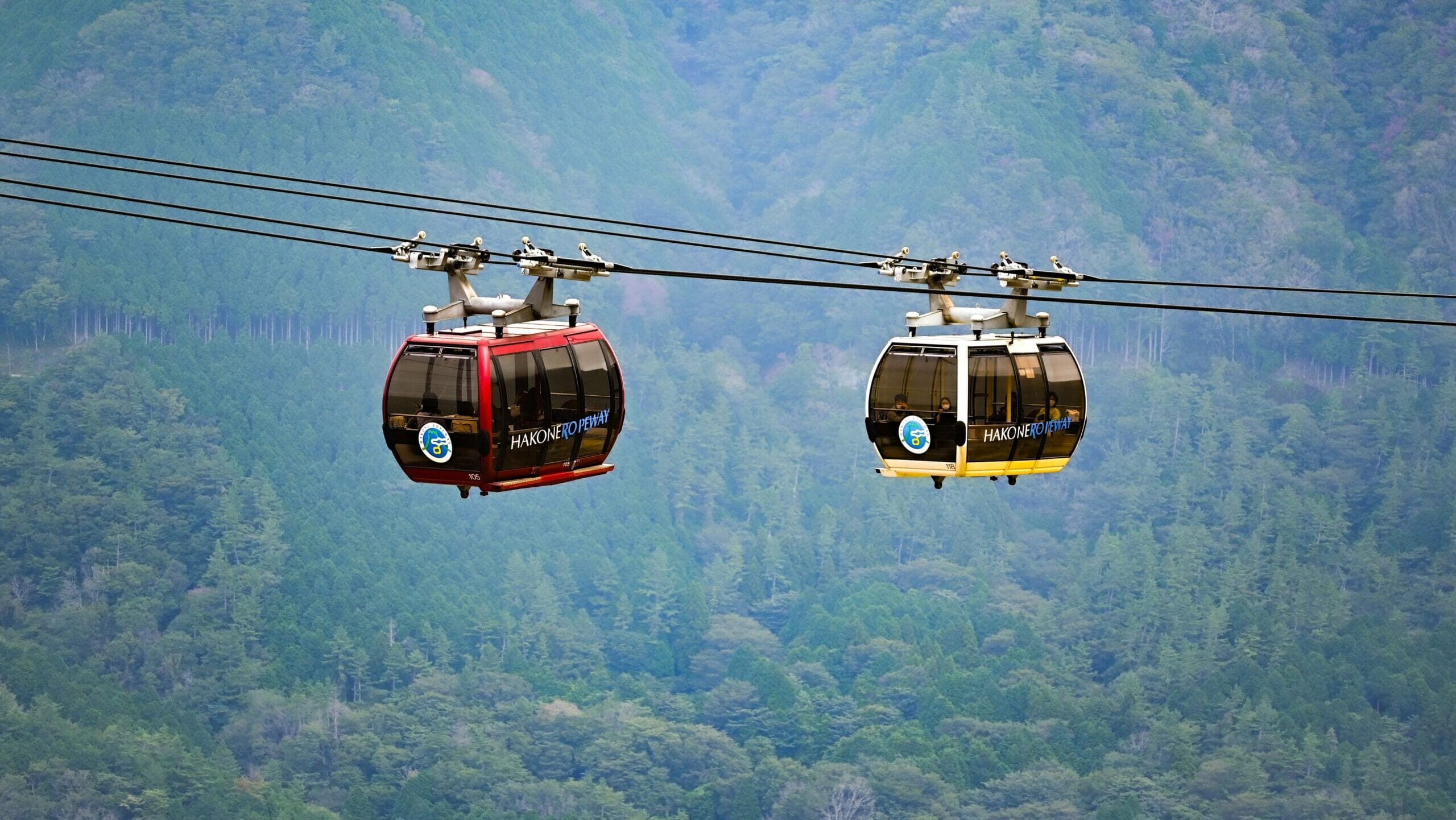 Kedarnath Ropeway: रोजगार के मुद्दे पर 19 जुलाई को गुप्तकाशी में महापंचायत, स्थानीय लोगों की बढ़ी चिंता