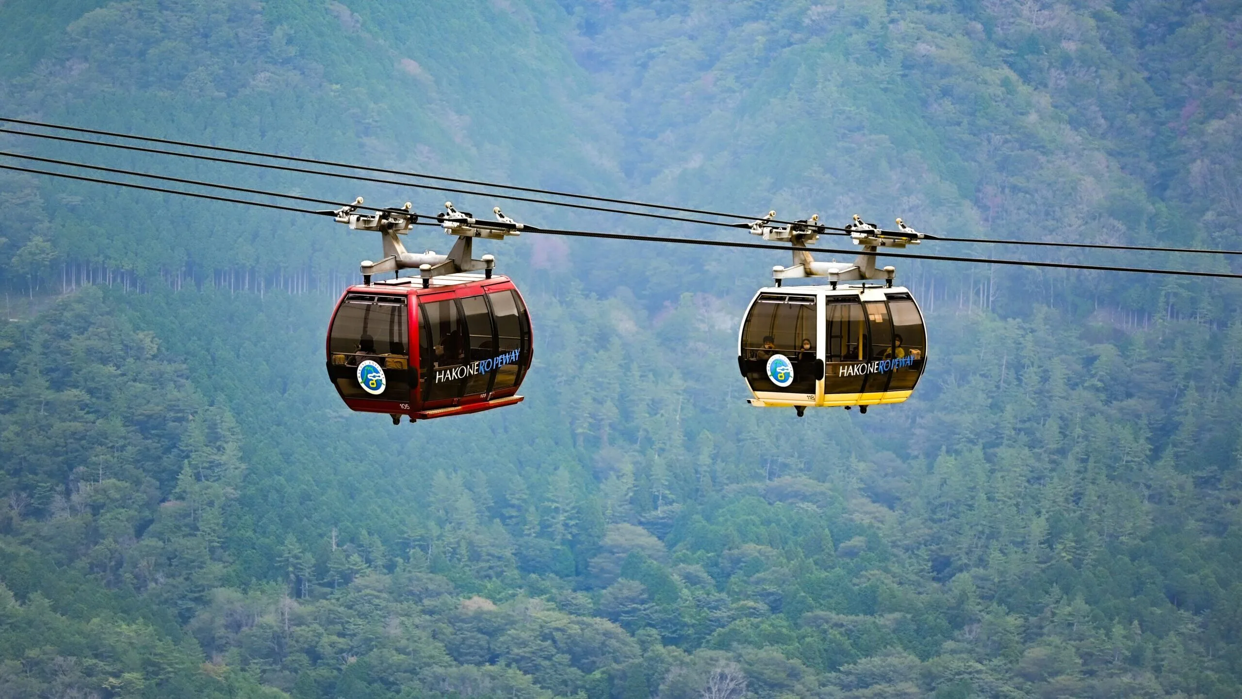Kedarnath Ropeway: रोजगार के मुद्दे पर 19 जुलाई को गुप्तकाशी में महापंचायत, स्थानीय लोगों की बढ़ी चिंता